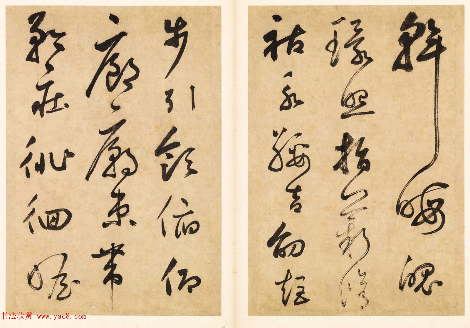 元代边武草书千字文册页三十七开