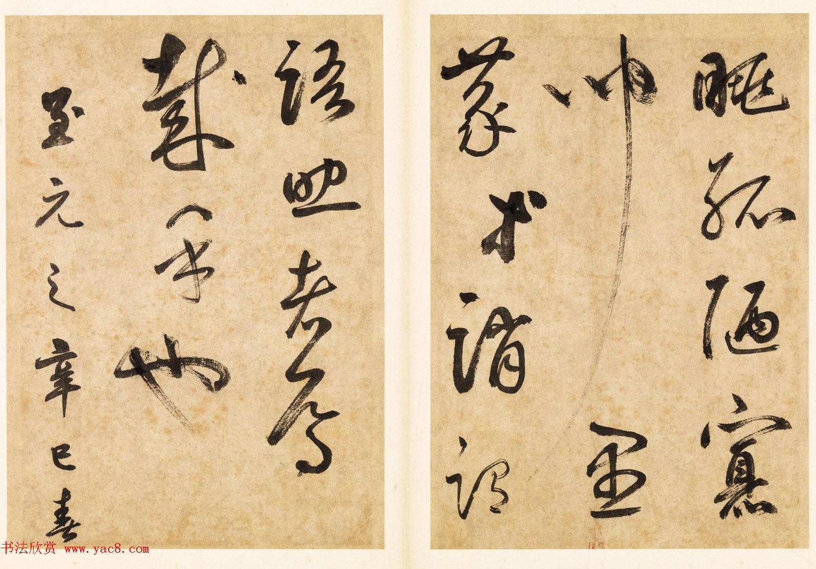 元代边武草书千字文册页三十七开