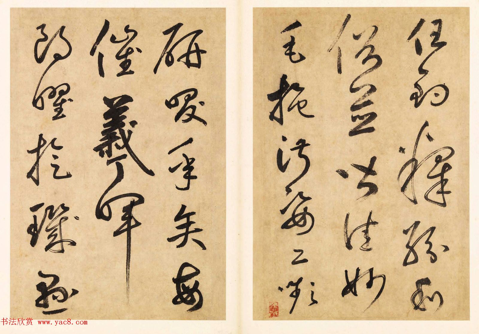 元代边武草书千字文册页三十七开