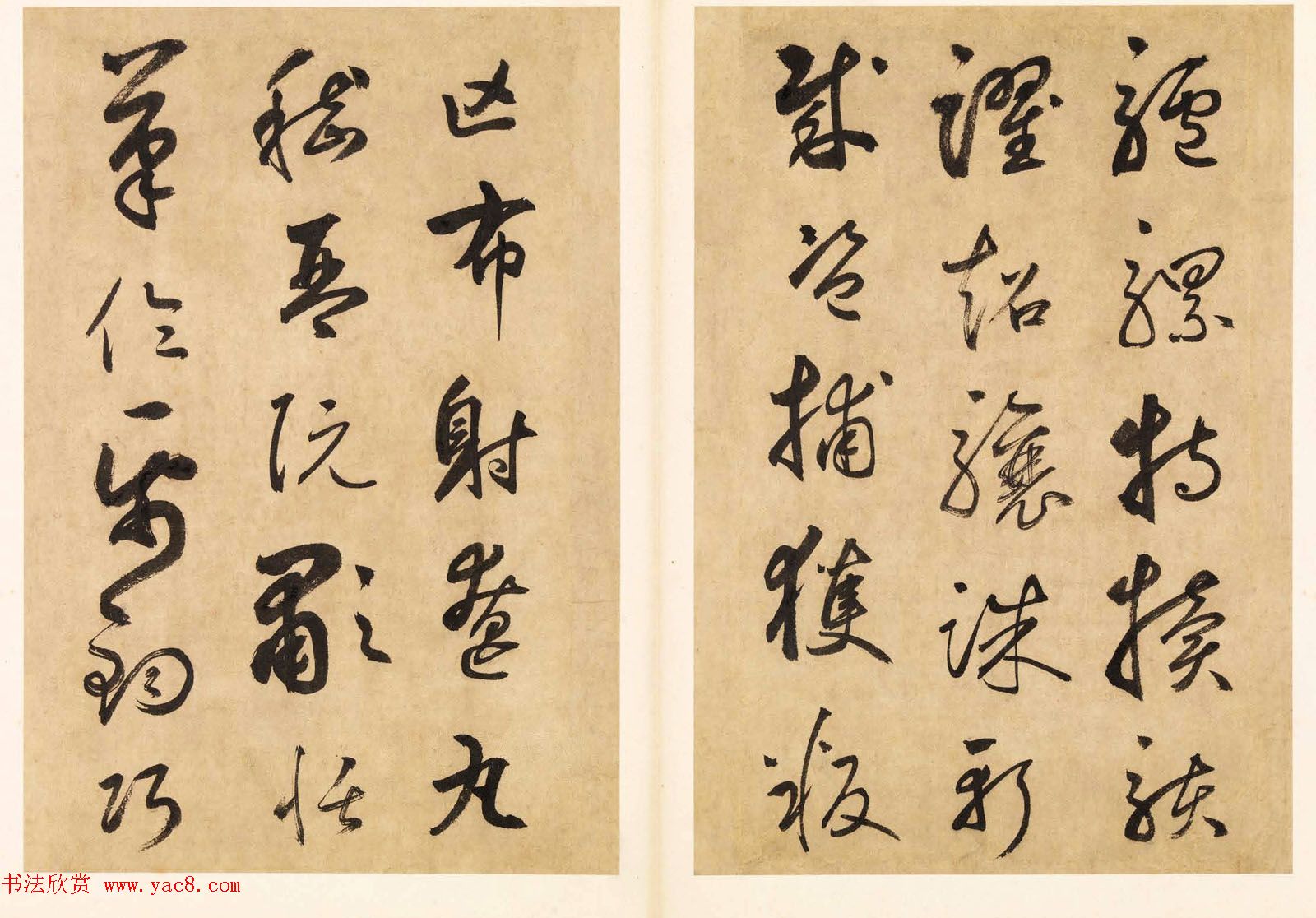 元代边武草书千字文册页三十七开