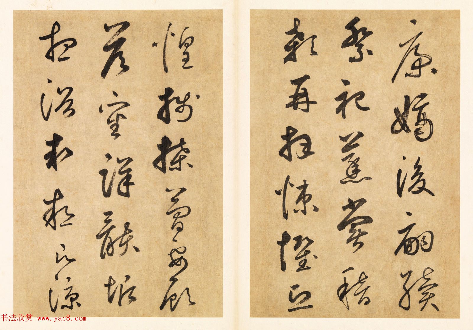 元代边武草书千字文册页三十七开