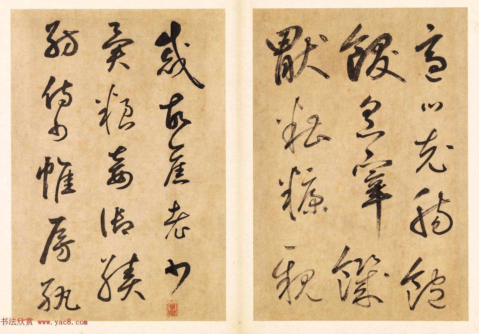 元代边武草书千字文册页三十七开