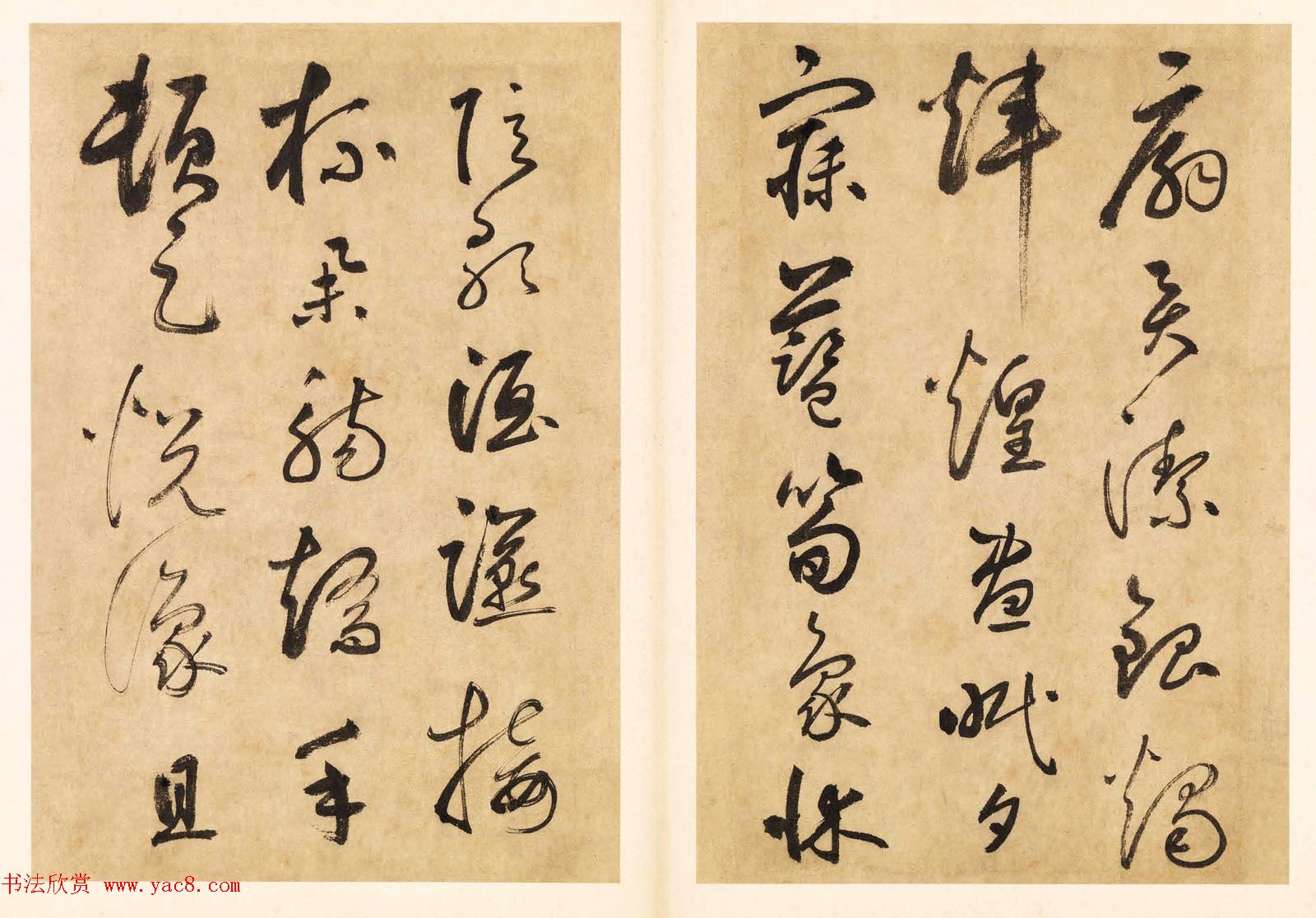 元代边武草书千字文册页三十七开