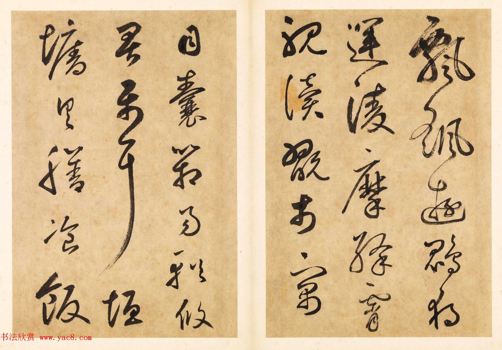 元代边武草书千字文册页三十七开