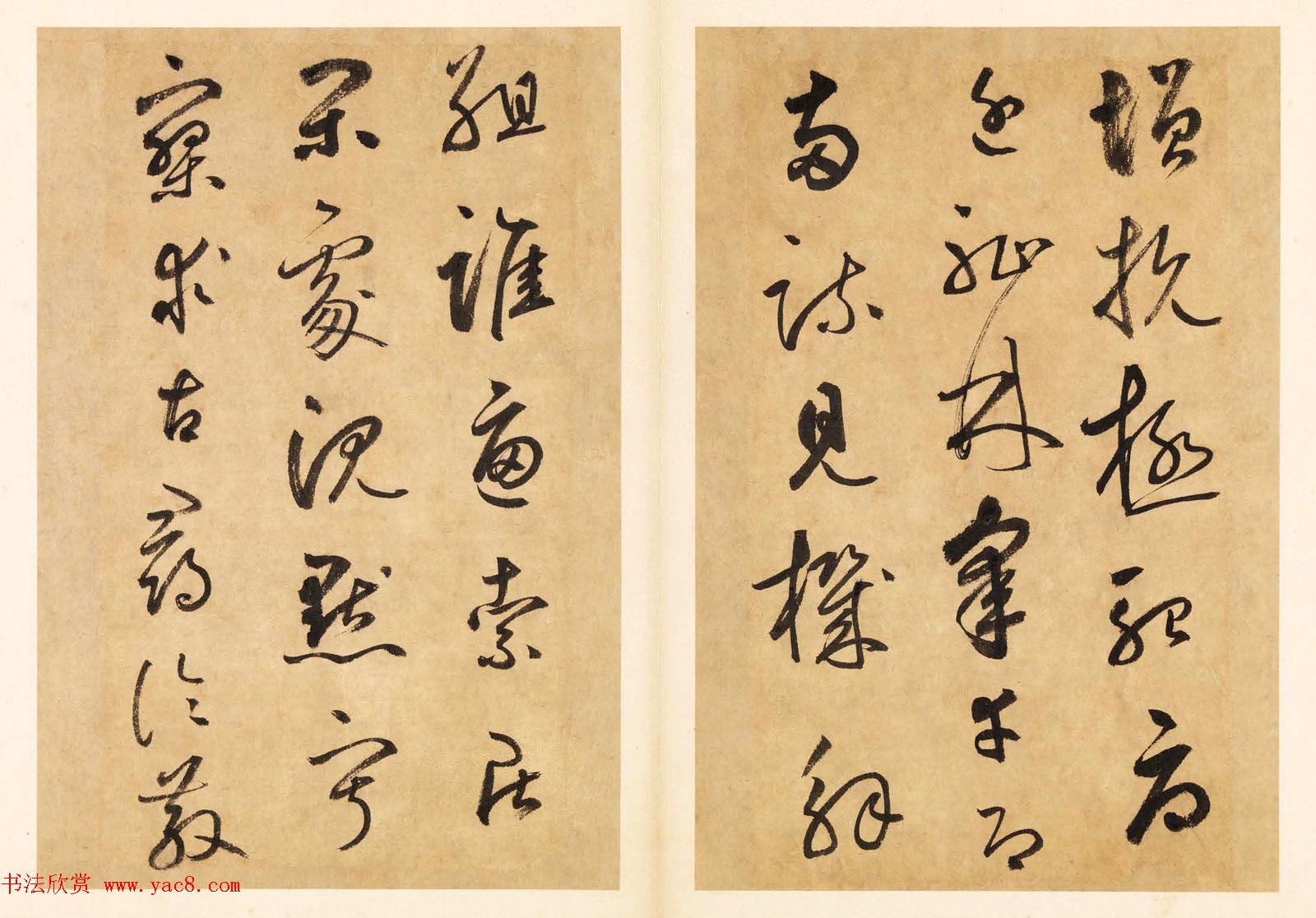 元代边武草书千字文册页三十七开