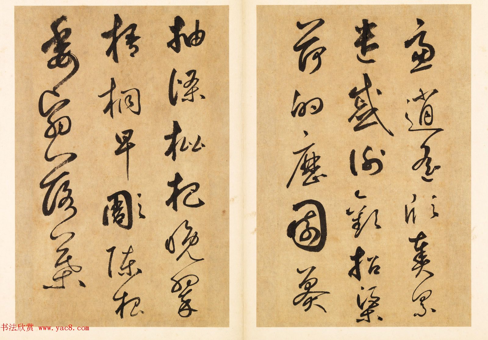 元代边武草书千字文册页三十七开