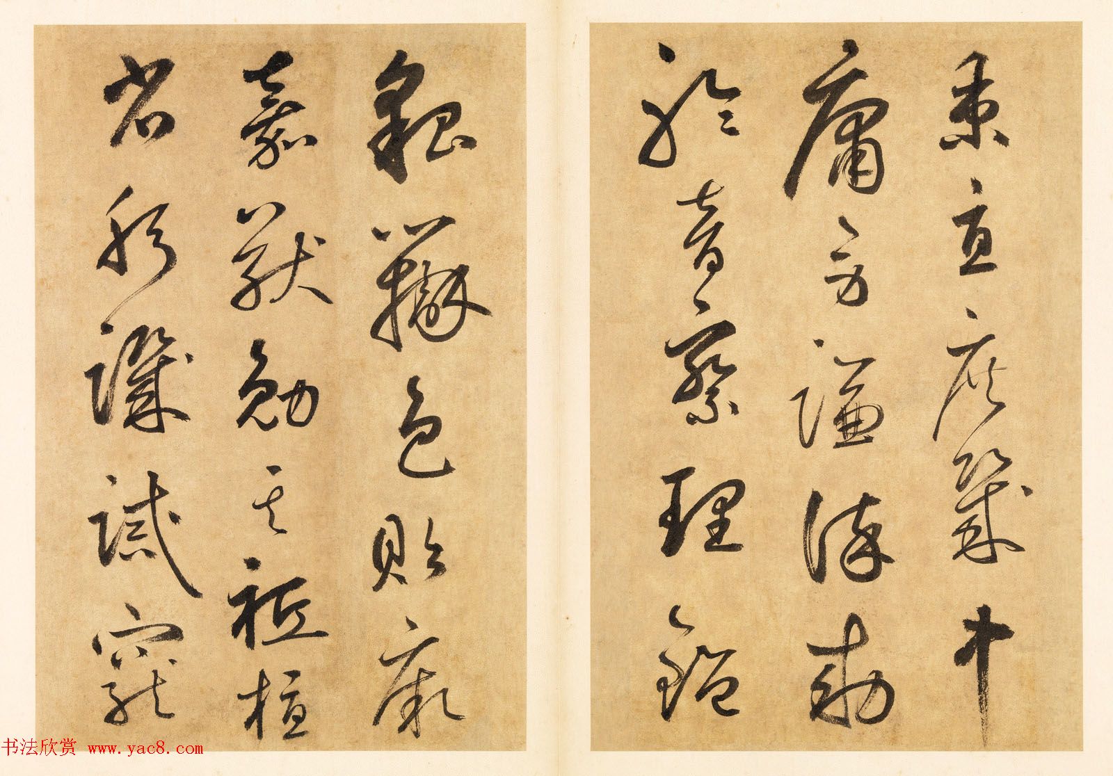 元代边武草书千字文册页三十七开