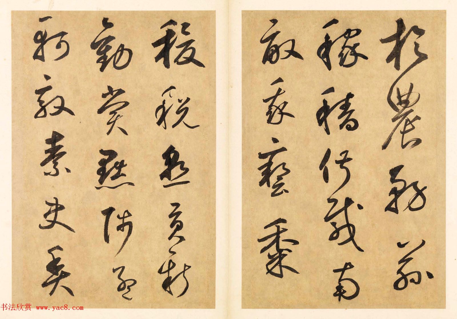 元代边武草书千字文册页三十七开