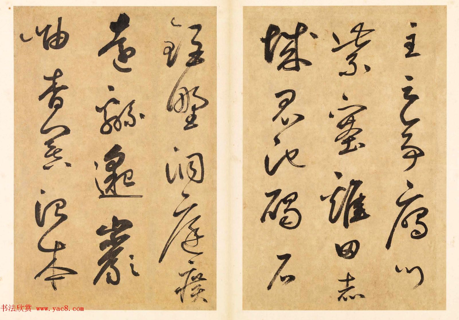 元代边武草书千字文册页三十七开