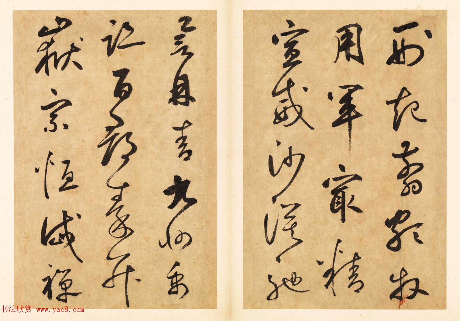 元代边武草书千字文册页三十七开