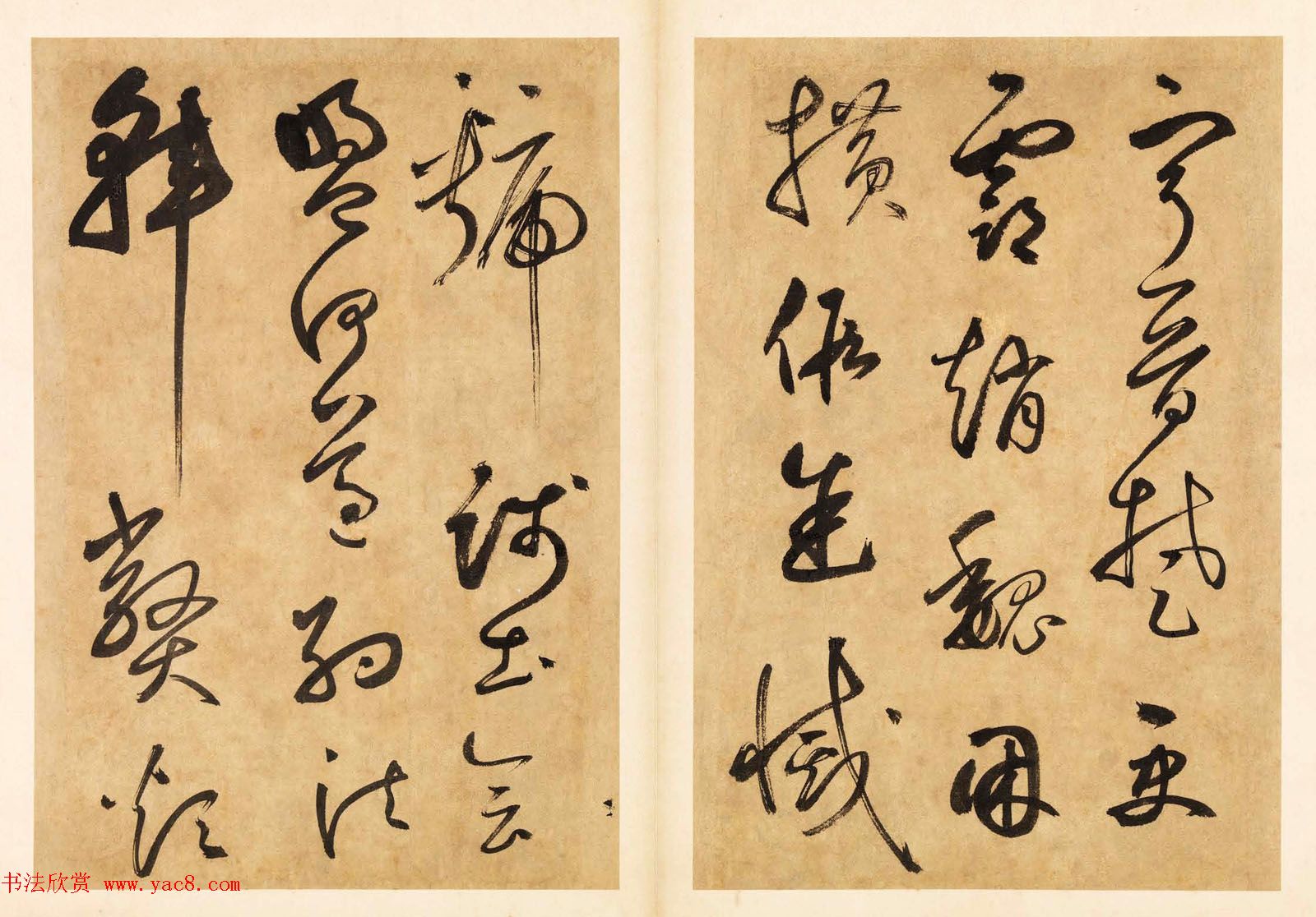 元代边武草书千字文册页三十七开