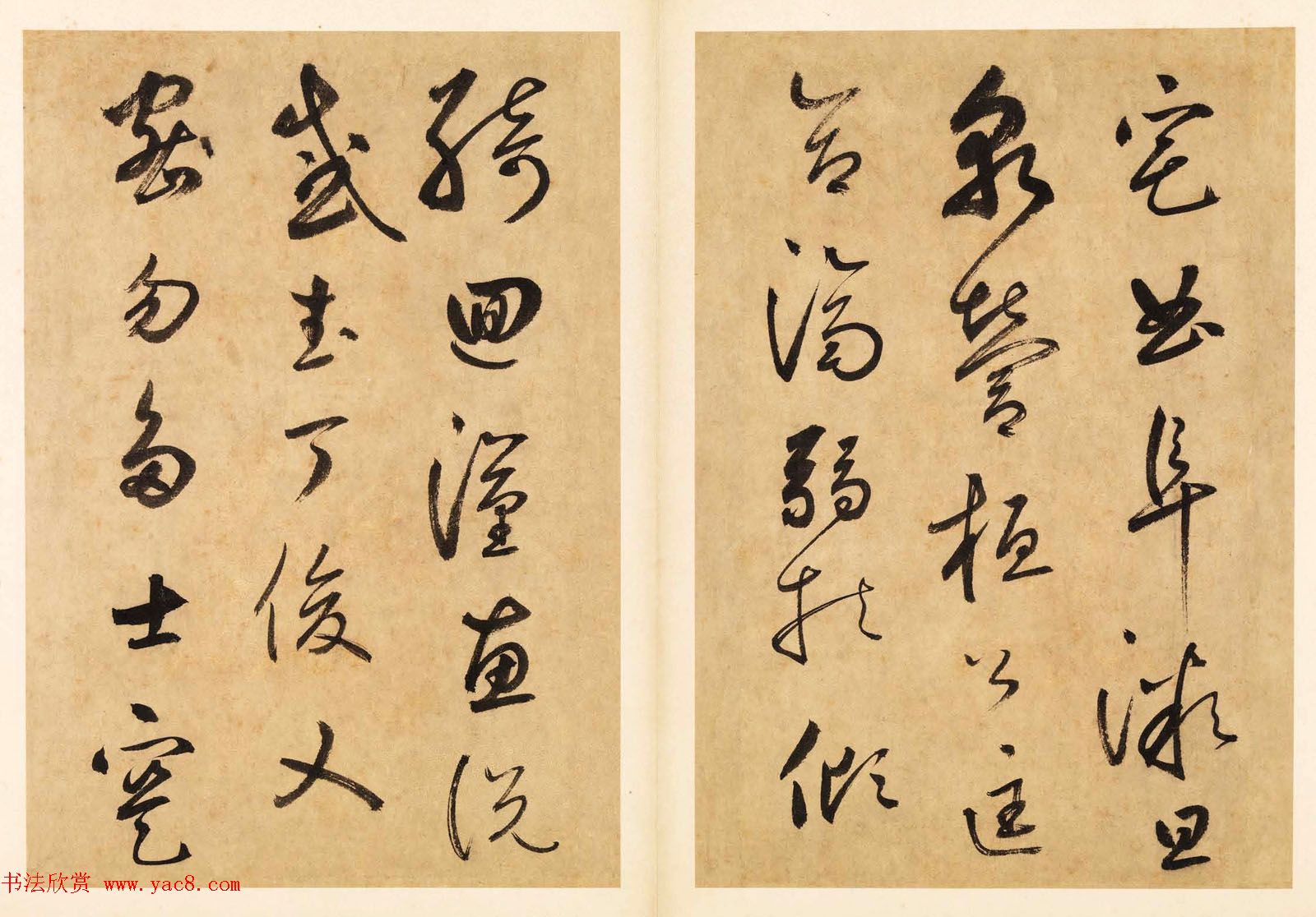 元代边武草书千字文册页三十七开