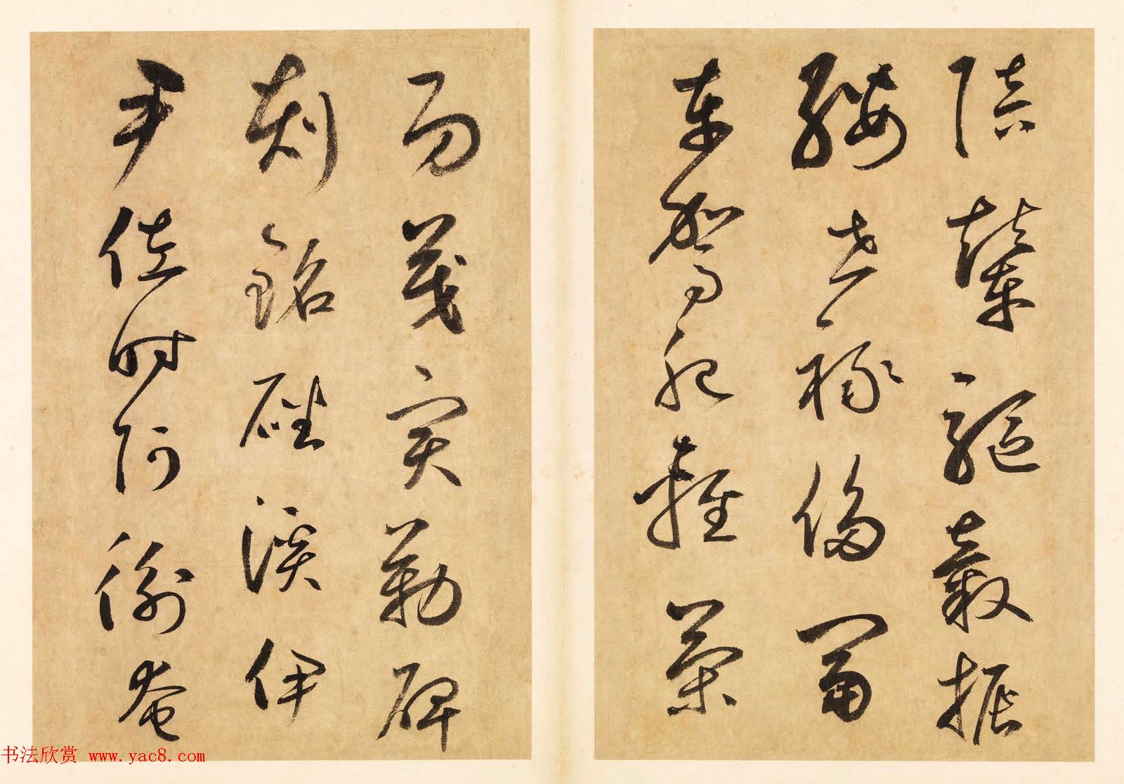 元代边武草书千字文册页三十七开