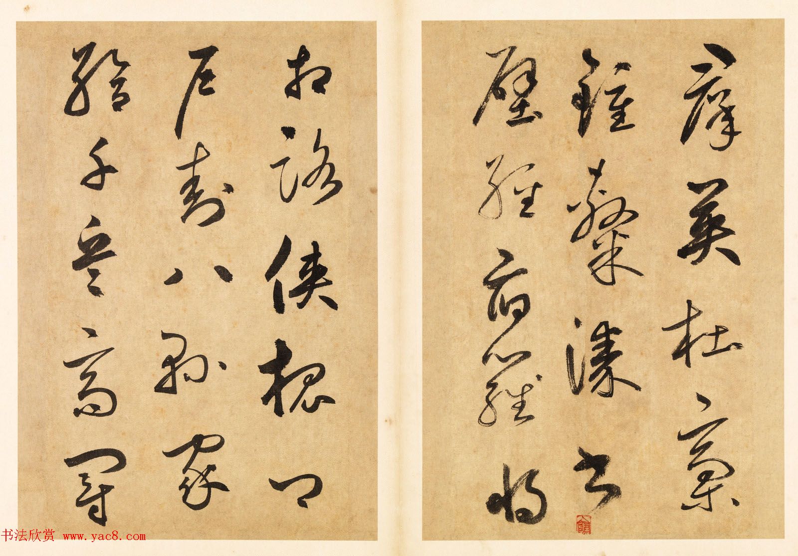 元代边武草书千字文册页三十七开