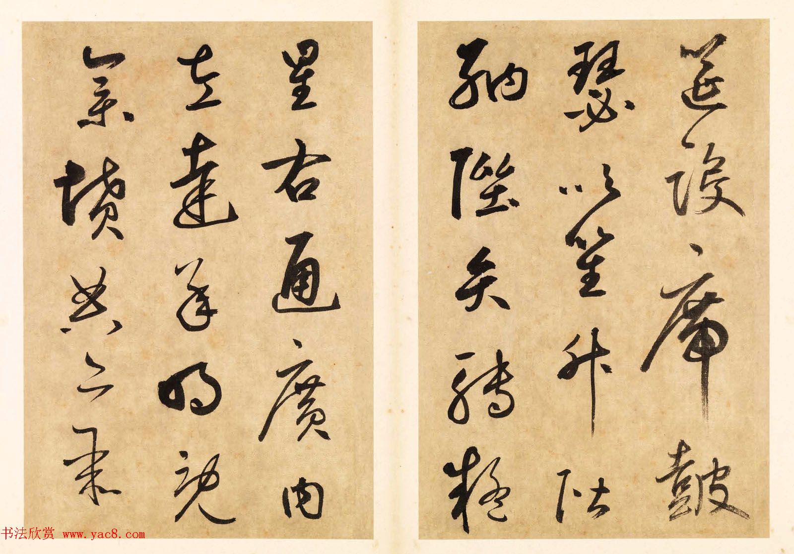 元代边武草书千字文册页三十七开