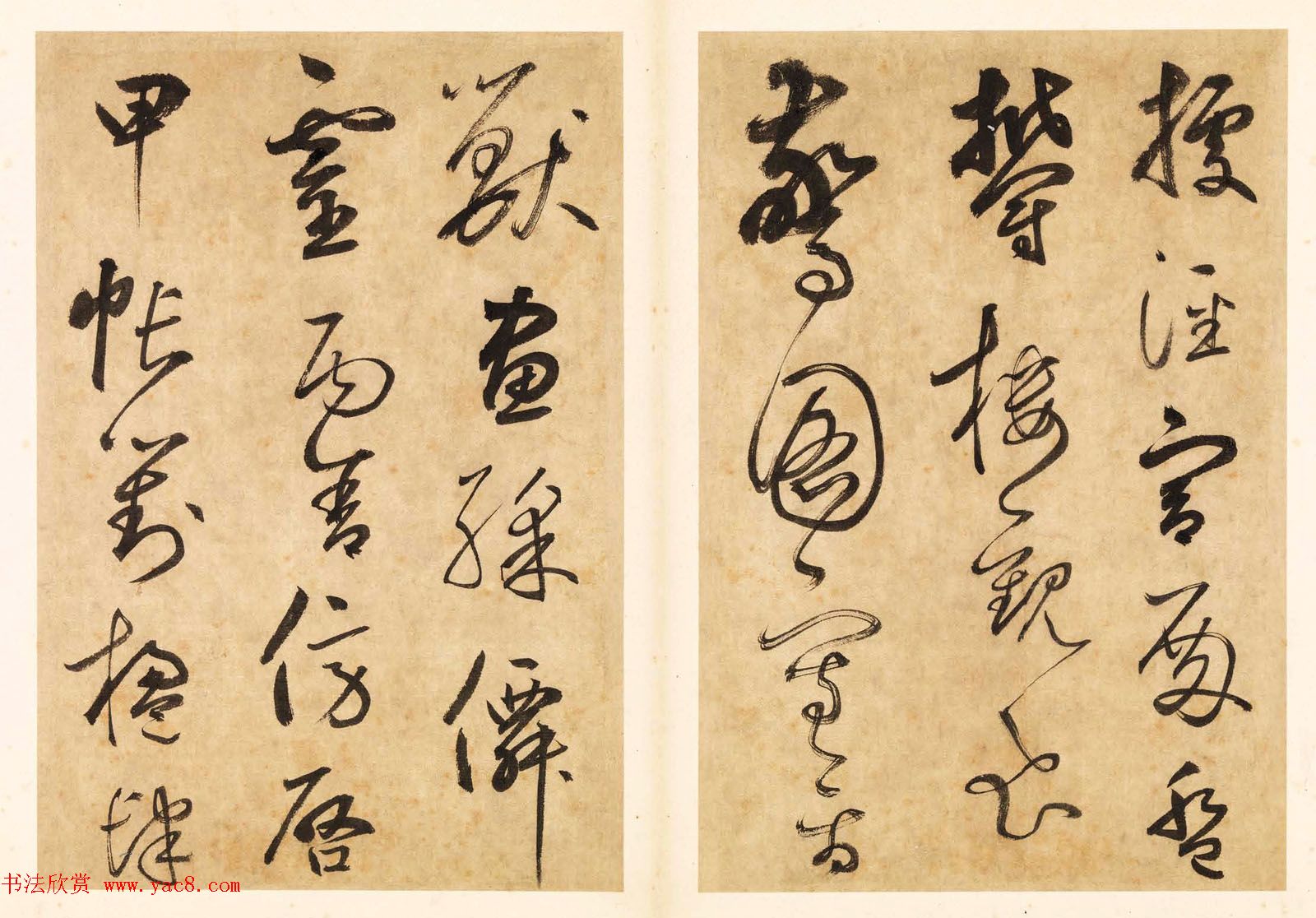 元代边武草书千字文册页三十七开