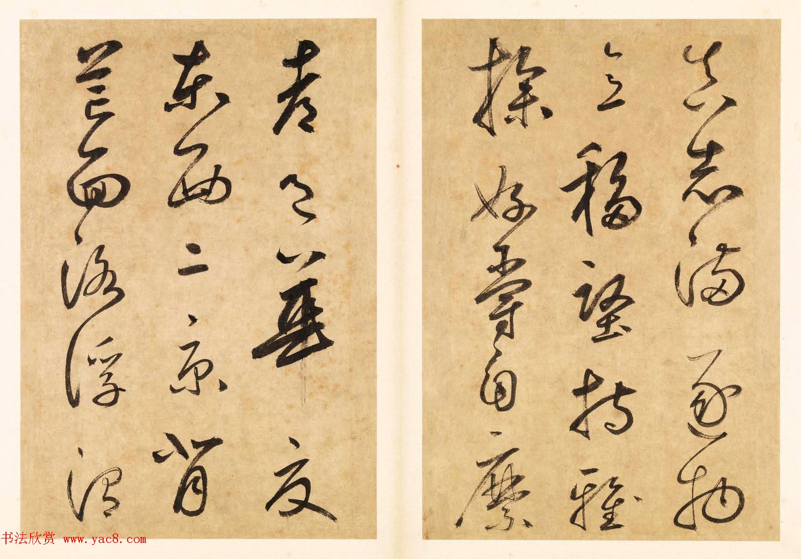 元代边武草书千字文册页三十七开