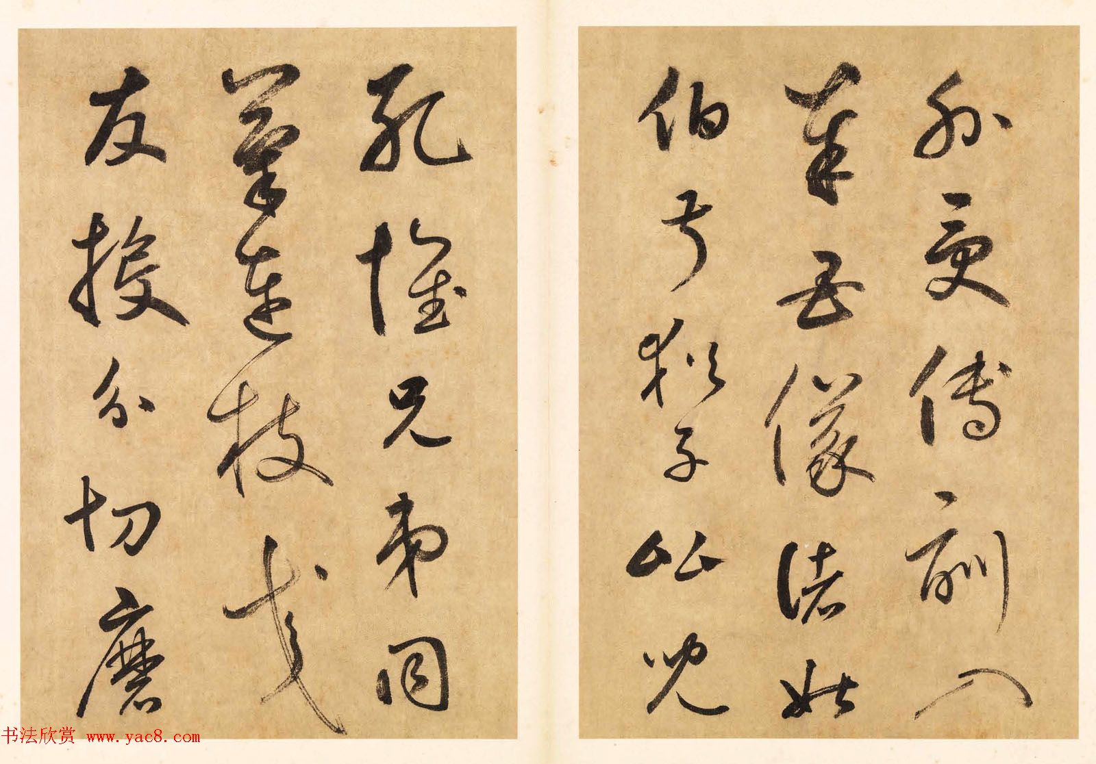 元代边武草书千字文册页三十七开