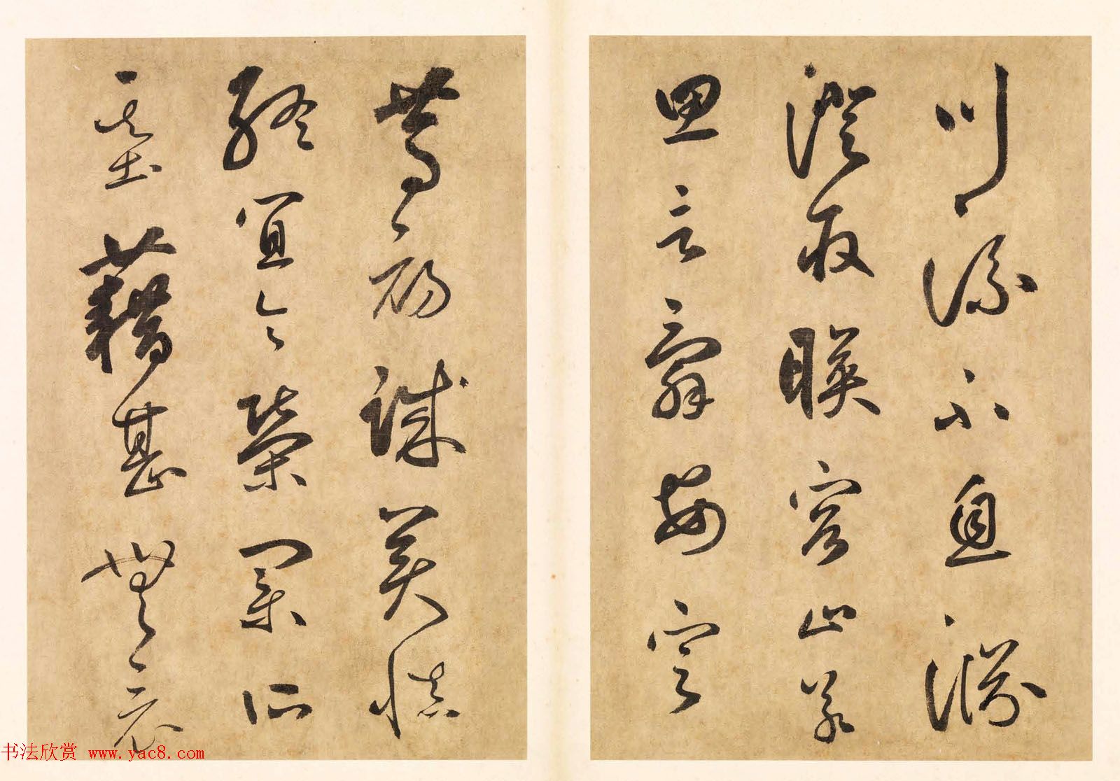 元代边武草书千字文册页三十七开