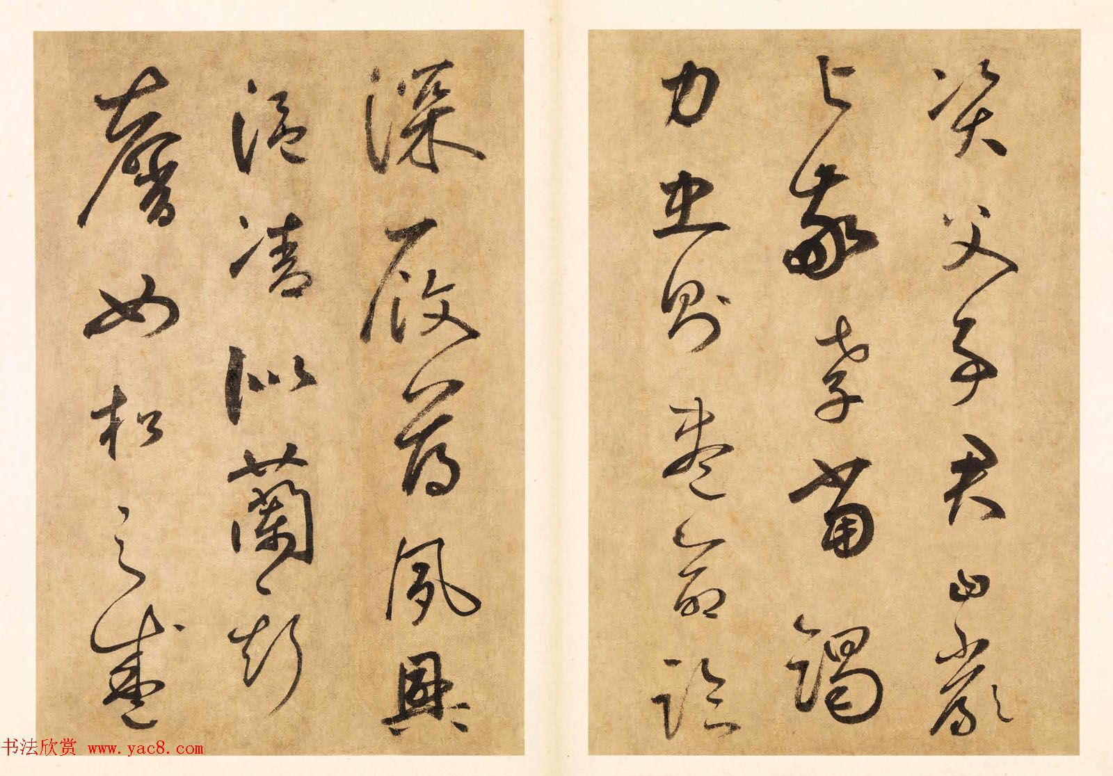 元代边武草书千字文册页三十七开