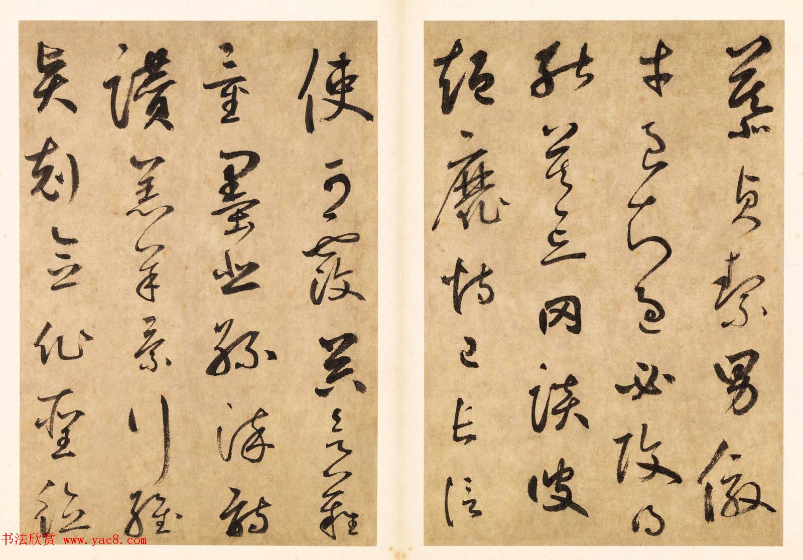 元代边武草书千字文册页三十七开