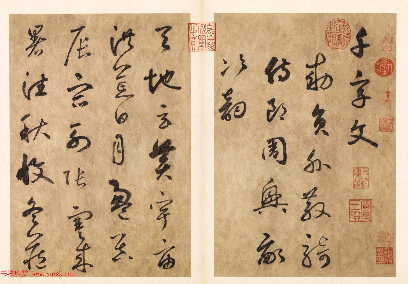 元代边武草书千字文册页三十七开