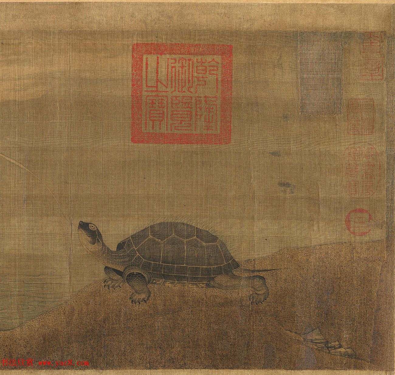 张珪传世孤本《神龟图》卷 张珪传世孤本《神龟图》卷