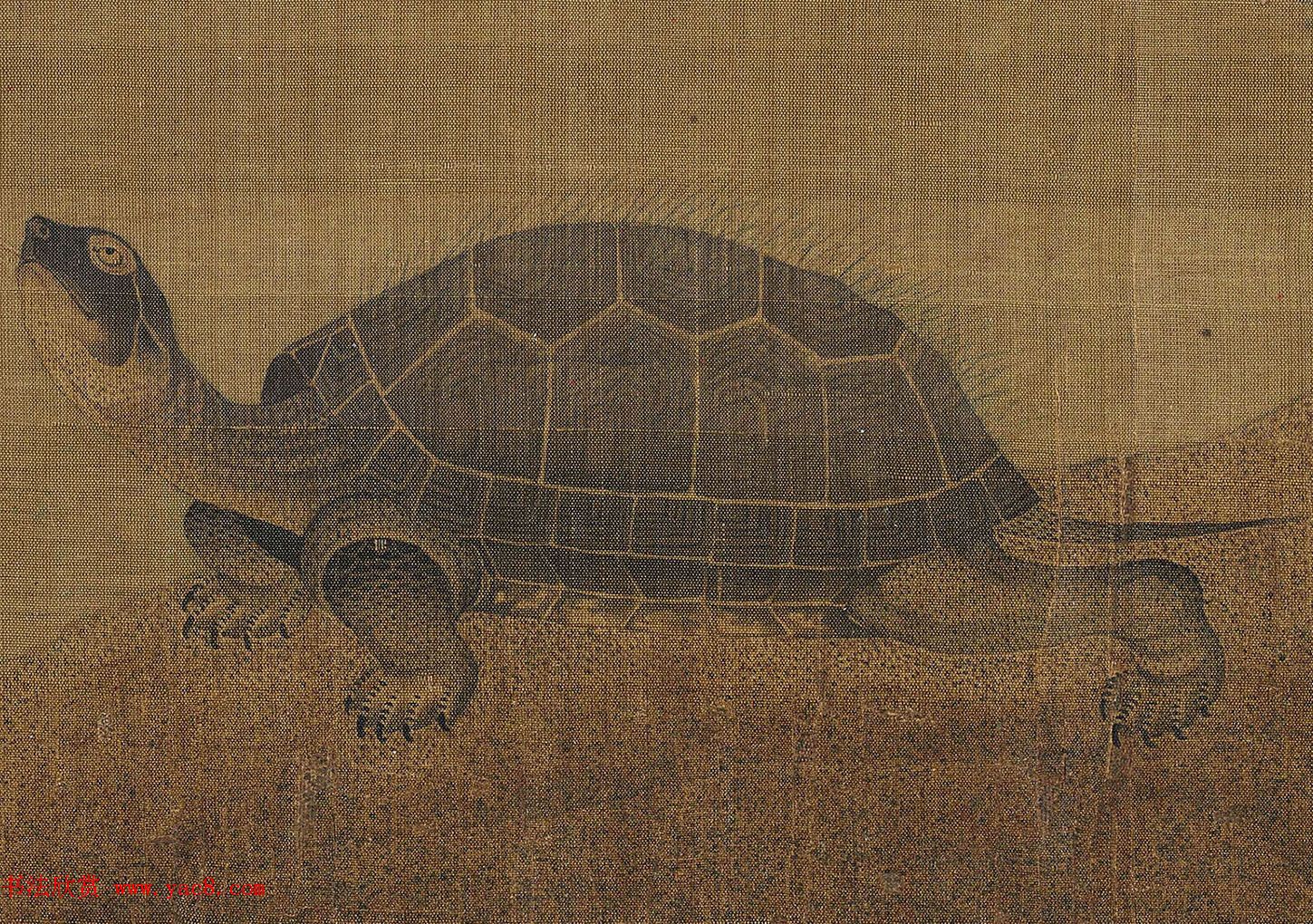 张珪传世孤本《神龟图》卷 张珪传世孤本《神龟图》卷