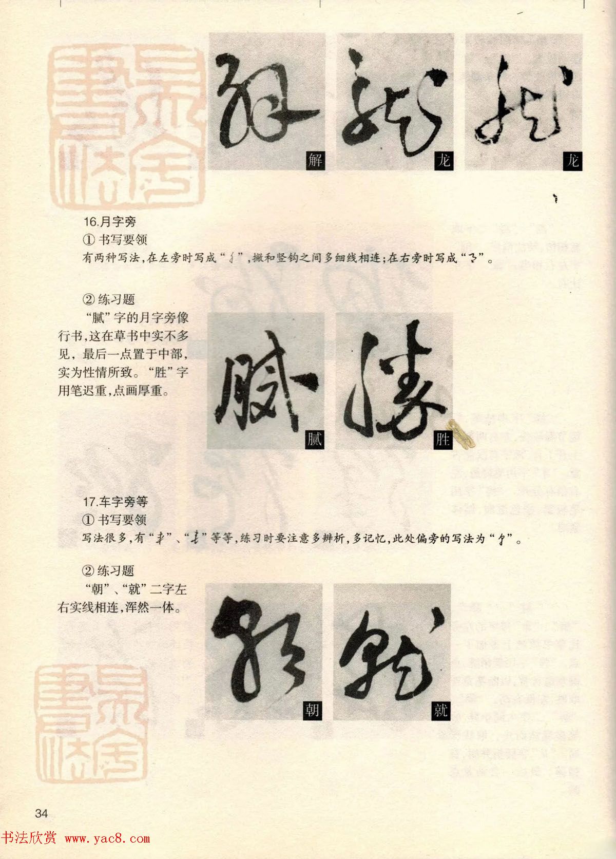 经典碑帖导学教程：王铎草书诗卷--偏旁部首