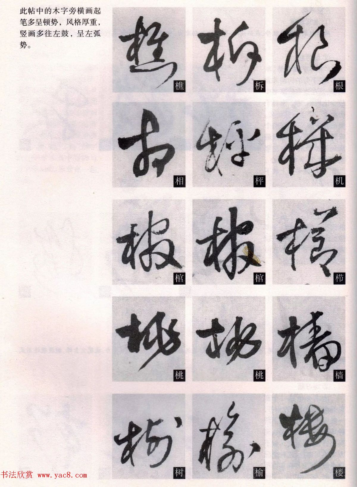 经典碑帖导学教程：王铎草书诗卷--偏旁部首