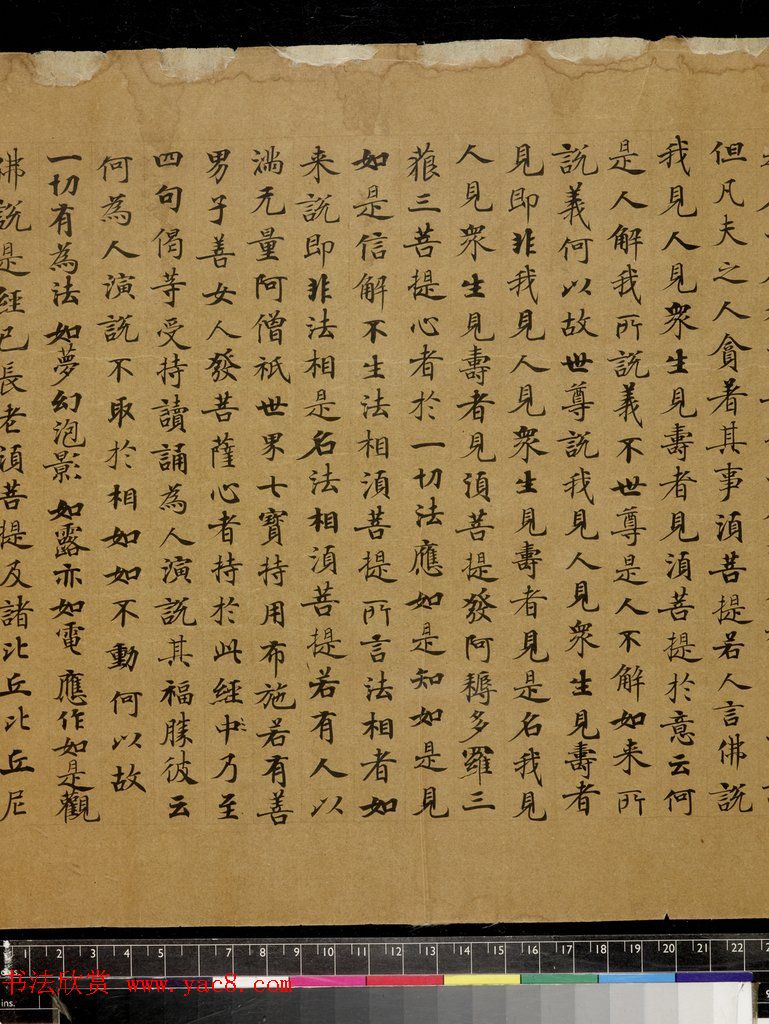 唐楷书《金刚般若波罗蜜经》（全图）