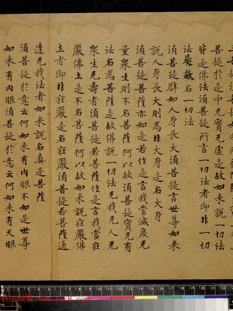 唐楷书《金刚般若波罗蜜经》（全图）