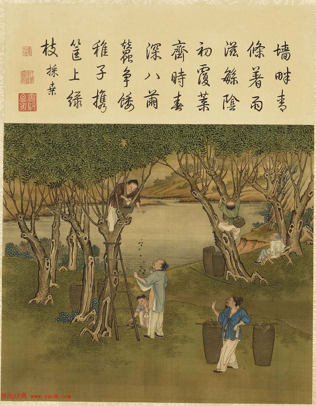 清代宫廷画师陈枚彩绘本《耕织图》