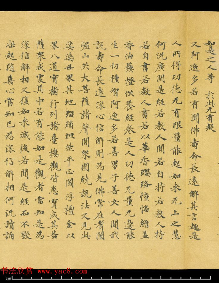 唐代成公道楷书写《妙法莲华经卷第五》 唐代成公道楷书写《妙法莲华经卷第五》