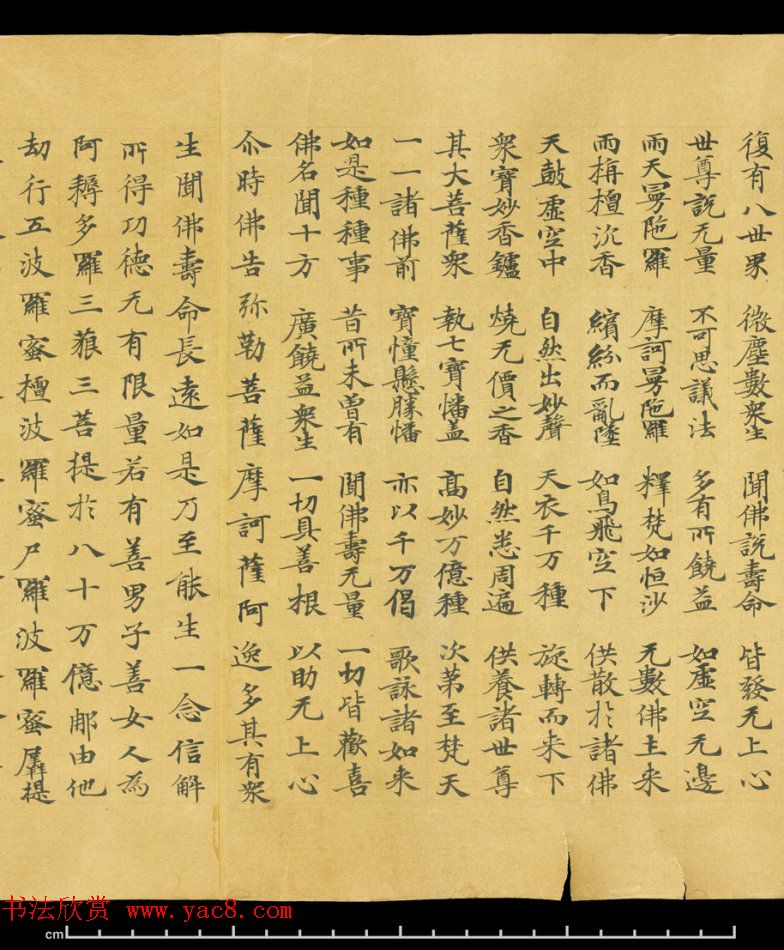 唐代成公道楷书写《妙法莲华经卷第五》 唐代成公道楷书写《妙法莲华经卷第五》