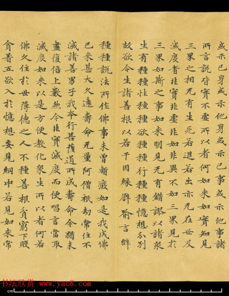 唐代成公道楷书写《妙法莲华经卷第五》 唐代成公道楷书写《妙法莲华经卷第五》