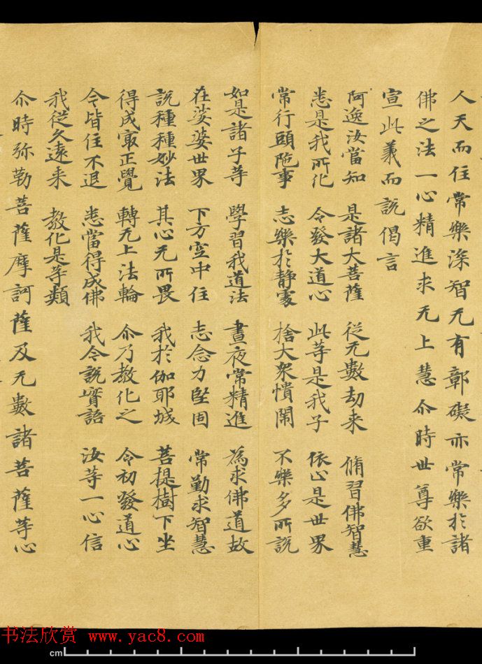 唐代成公道楷书写《妙法莲华经卷第五》 唐代成公道楷书写《妙法莲华经卷第五》