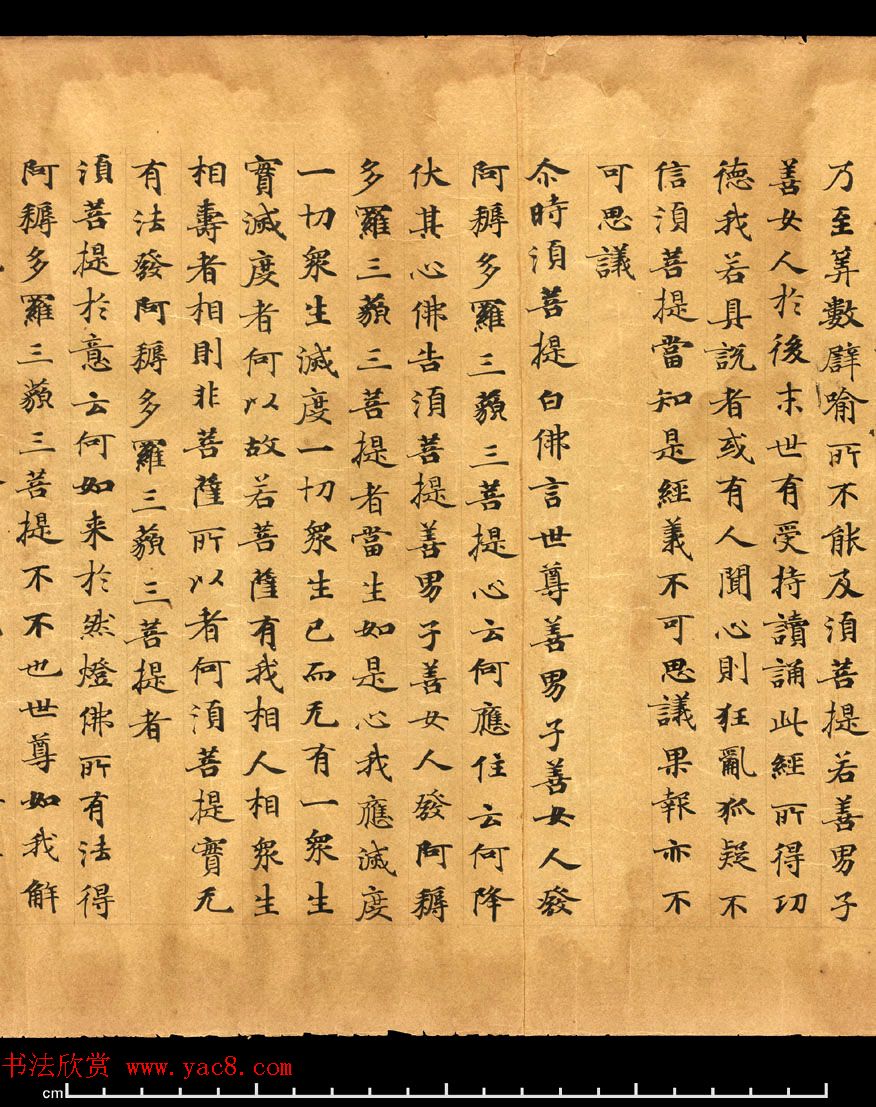 唐朝欧阳玄愆楷书写《金刚般若波罗密经》