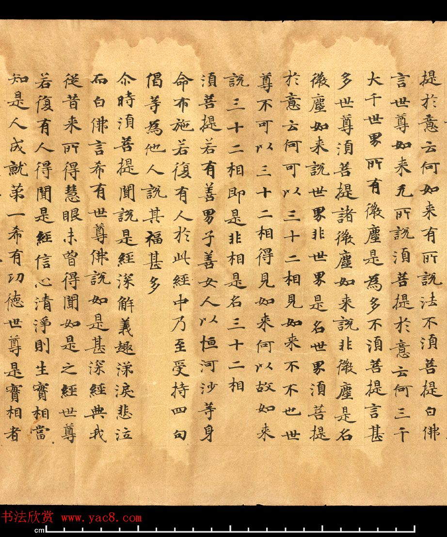 唐朝欧阳玄愆楷书写《金刚般若波罗密经》