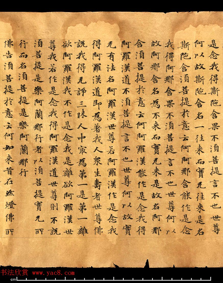 唐朝欧阳玄愆楷书写《金刚般若波罗密经》