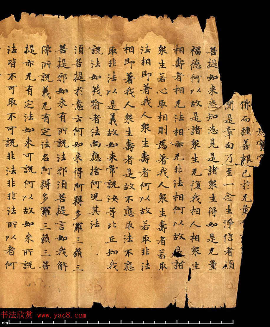 唐朝欧阳玄愆楷书写《金刚般若波罗密经》