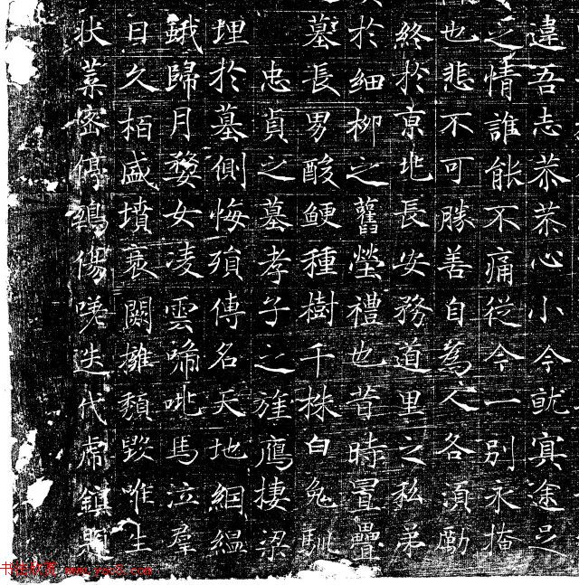 褚遂良书风《唐故马府君夫人墓志》