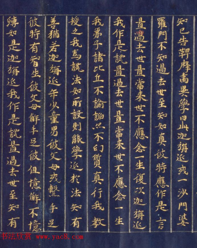 日本手抄金色字佛经《鞞摩肃经》