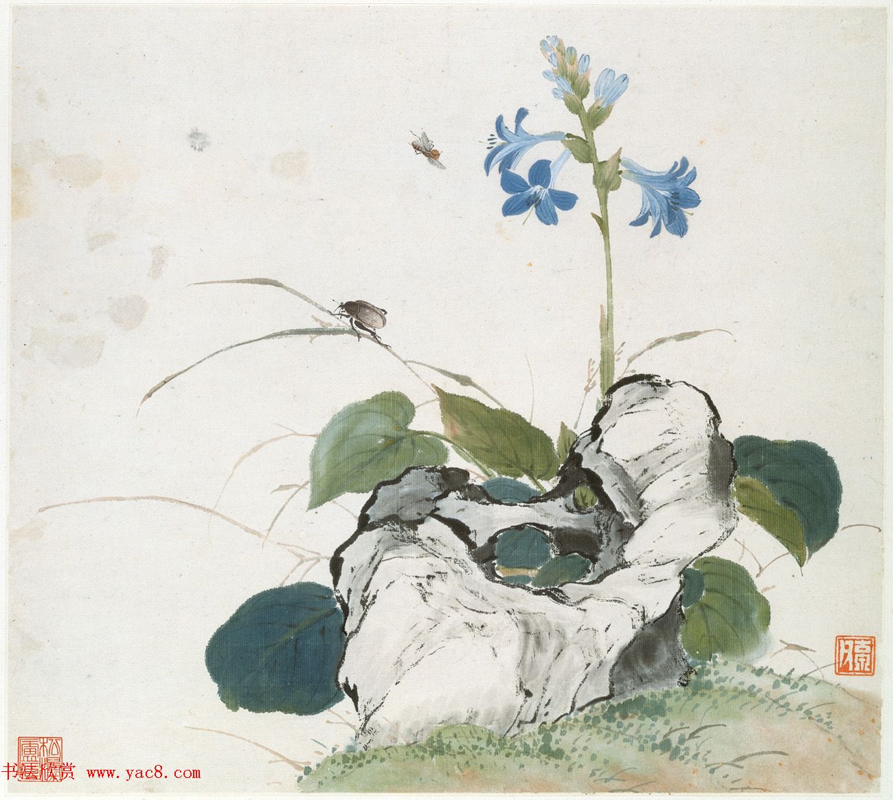 清代居廉花卉虫草册页八开 清代居廉花卉虫草册页八开