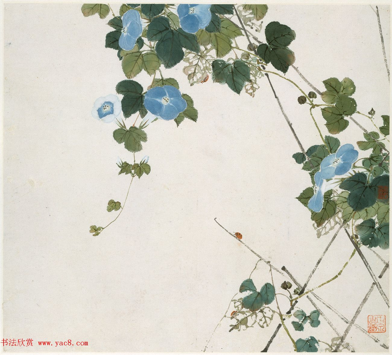 清代居廉花卉虫草册页八开 清代居廉花卉虫草册页八开