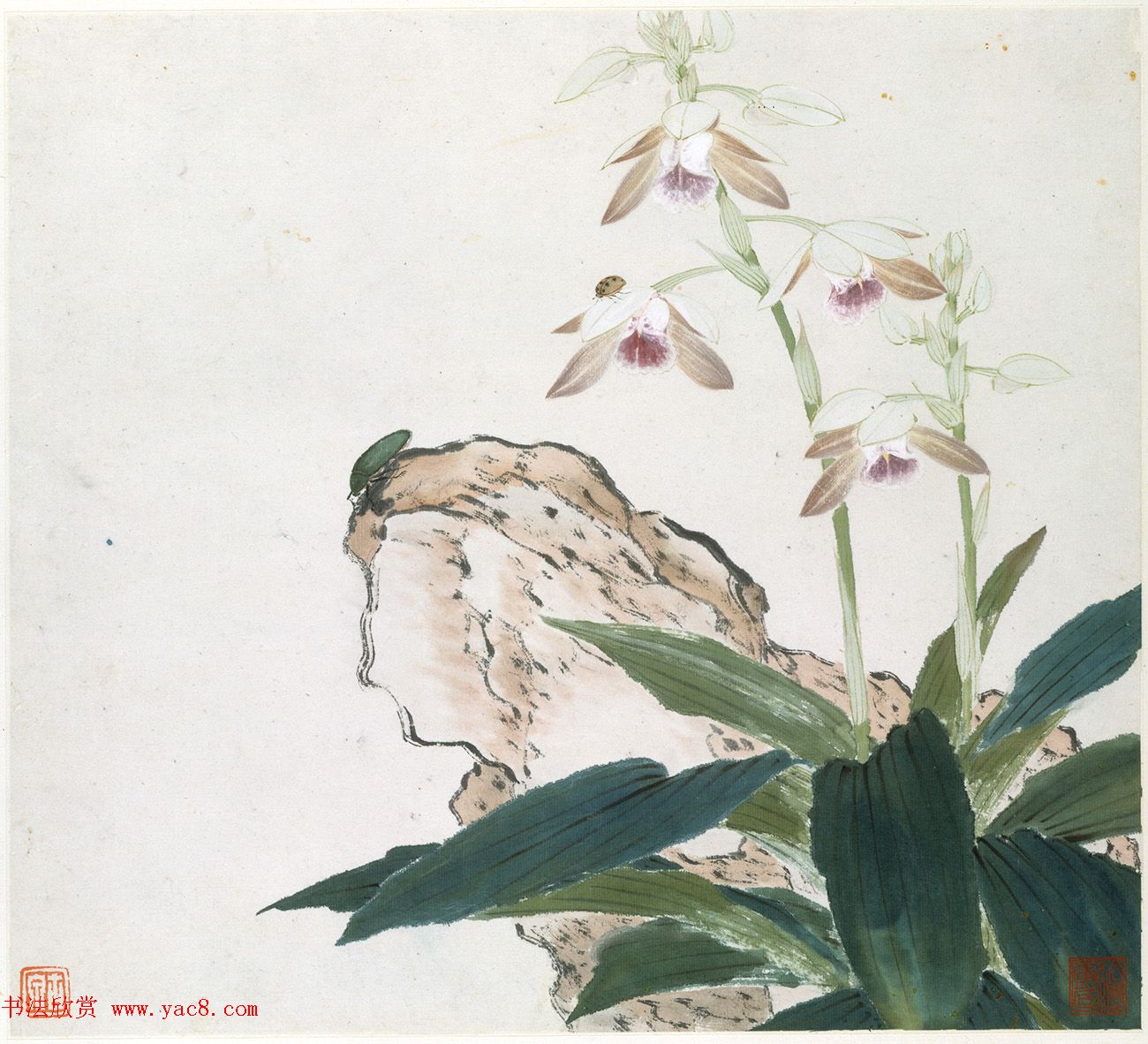 清代居廉花卉虫草册页八开 清代居廉花卉虫草册页八开