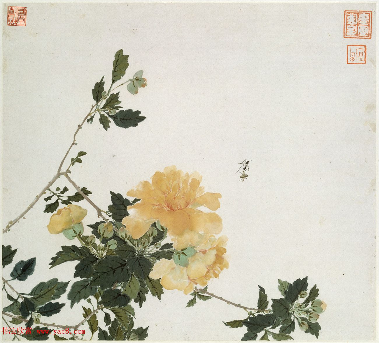 清代居廉花卉虫草册页八开 清代居廉花卉虫草册页八开