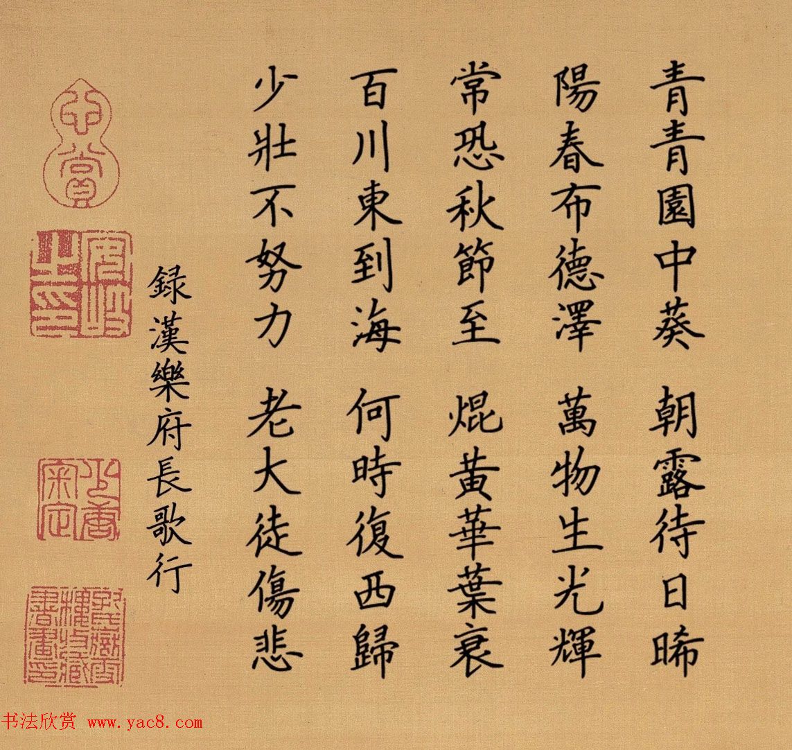赵孟頫行书集字《长歌行》