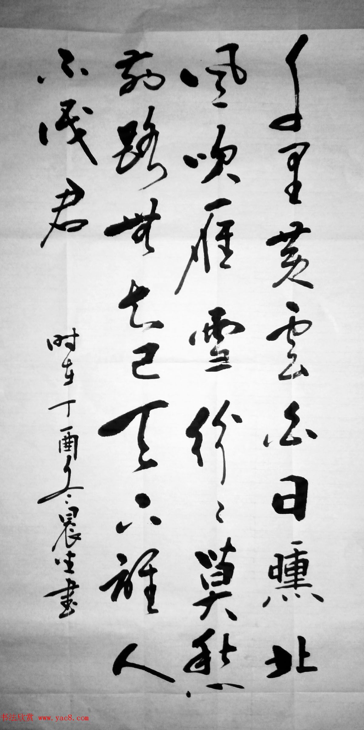 苏晨生/边增进书法作品选刊