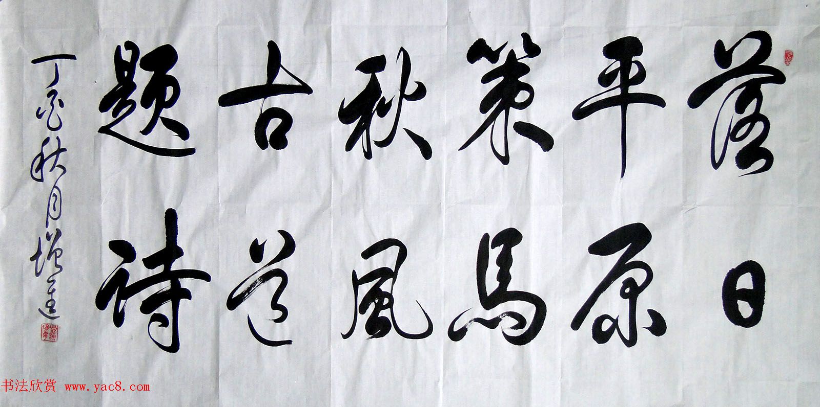 苏晨生/边增进书法作品选刊